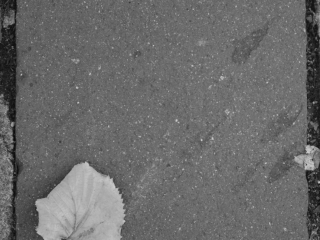 Fotografien der Teilnehmer des Fotoworkshops "Grundlagen:Gestaltung" am 14./15.10.2017 in Bamberg
