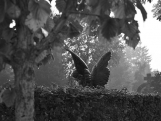 Fotografien der Teilnehmer des Fotoworkshops "Grundlagen:Gestaltung" am 14./15.10.2017 in Bamberg