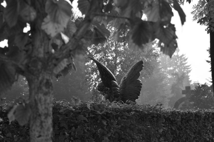 Fotografien der Teilnehmer des Fotoworkshops "Grundlagen:Gestaltung" am 14./15.10.2017 in Bamberg